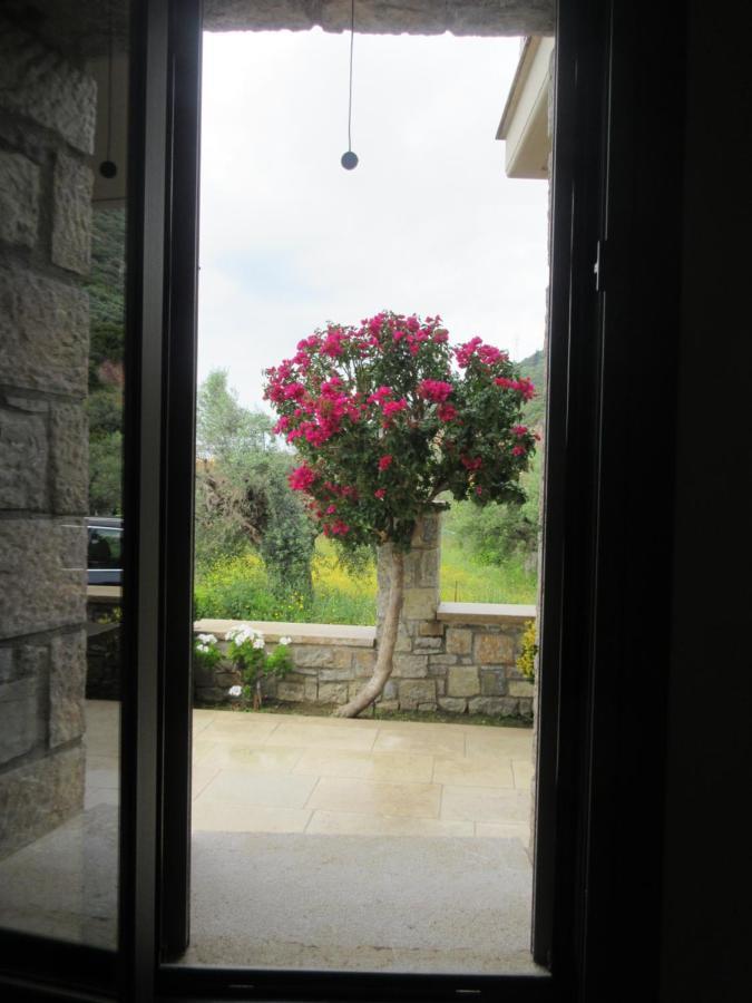 Seaside Retreat House Villa Paralia Sergoulas Dış mekan fotoğraf