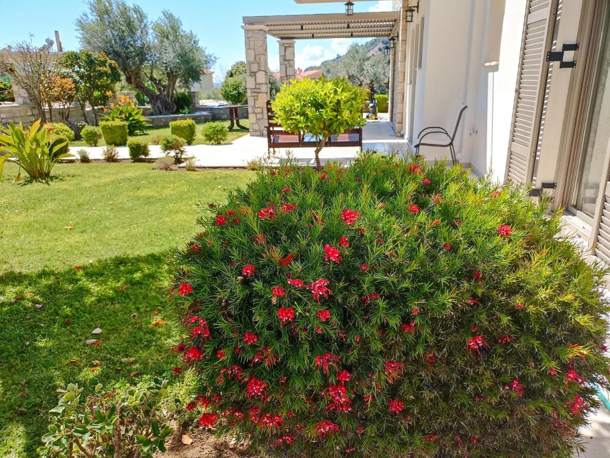 Seaside Retreat House Villa Paralia Sergoulas Dış mekan fotoğraf